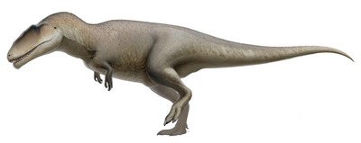 Carcharodontosaurus : le grand "requin blanc" de l'Afrique préhistorique