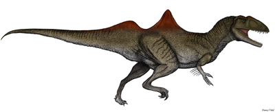 Concavenator : L'unique dinosaure théropode d'Espagne