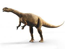 Massospondylus : L'aube des sauropodomorphes