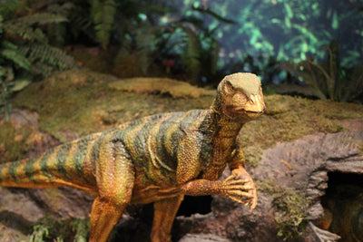 Compsognathus : La merveille miniature du Jurassique supérieur