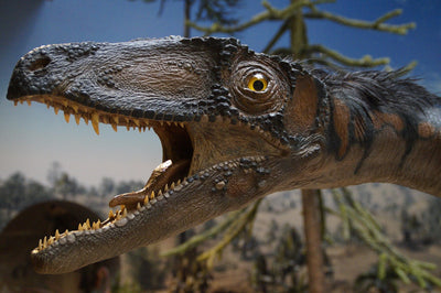 Dilong : La lumière sur les premières plumes des dinosaures