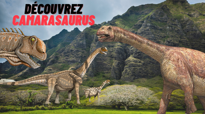 Camarasaurus : le lézard chambré du Jurassique supérieur