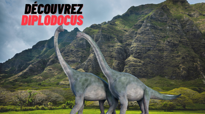 Diplodocus : Le mastodonte herbivore de l'ère jurassique