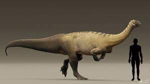 Yunnanosaurus : le dinosaure asiatique à la queue énigmatique