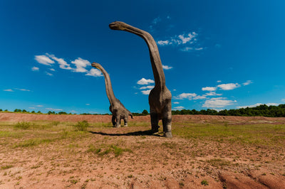 Les sauropodomorphes : Les gentils géants de l'ère mésozoïque