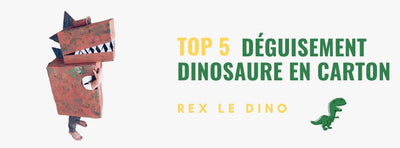Top 5 Déguisement Dinosaure en Carton