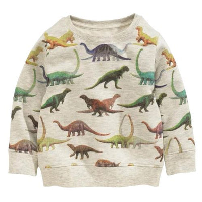 pull garçon 5 ans avec des dinosaures